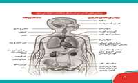 دخانیات و بیماریهای ناشی از مصرف دخانیات